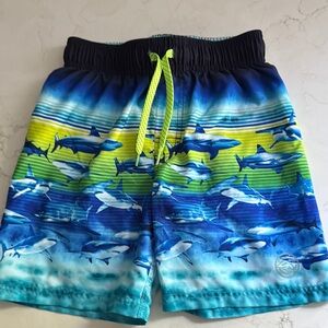 Blue and Green Ocean Scene Swim Shorts